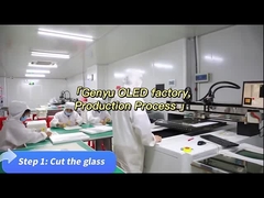 Εργοστάσιο OLED Genyu