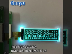COG Τμήμα LCD οθόνη TN αρνητικό 20pin FPC RGB χρώμα φως πίσω για ρολόι