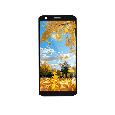 Καλή τιμή. 5.45 ιντσών TFT LCD οθόνη 720x1440 MIPI διεπαφή σε απευθείας σύνδεση